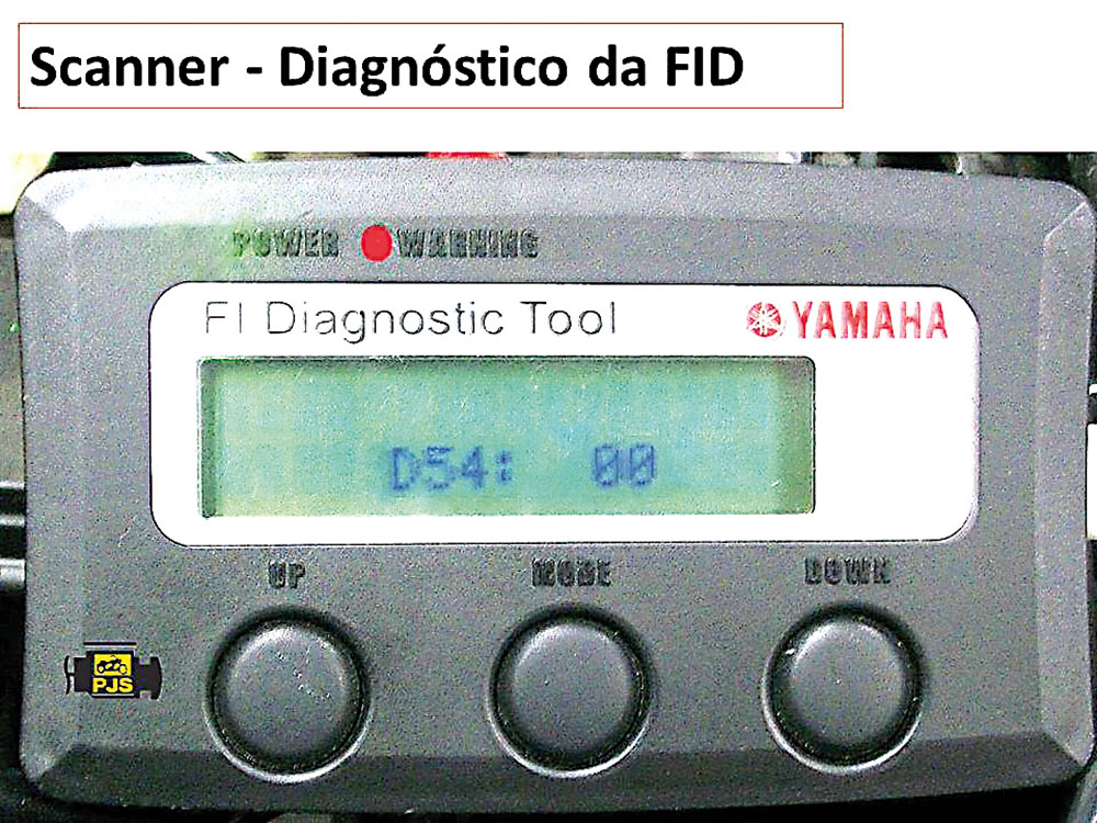 Código "D54" correspondente ao diagnóstico